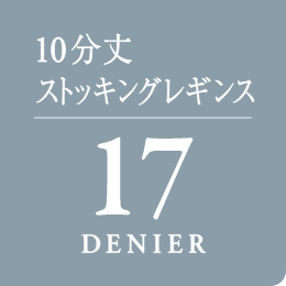 10分丈 ストッキングレギンス 17 DENIER