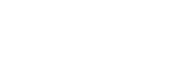 5本指